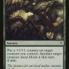 Feral Contest