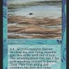 Tidal Flats