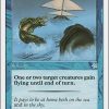 Wind Sail