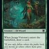 Joraga Visionary