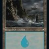 Island (31)