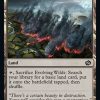 Evolving Wilds