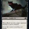 Black Cat