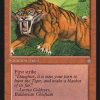Sabretooth Tiger