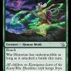 War Historian