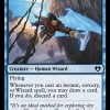 Windrider Wizard