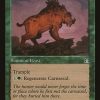 Carnassid