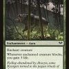 Favor of the Woods