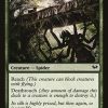 Kessig Recluse
