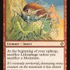 Lithophage