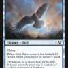 Mist Raven