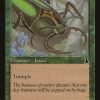 Goliath Beetle