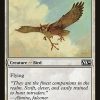 Suntail Hawk