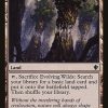 Evolving Wilds