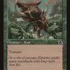 Pygmy Razorback