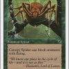 Canopy Spider