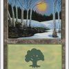 Forest (50)