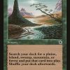 Untamed Wilds