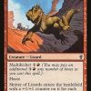 Skitter of Lizards