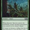 Invasive Species