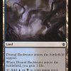 Dismal Backwater