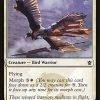 Sage-Eye Harrier