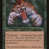 Springing Tiger