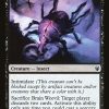 Brain Weevil