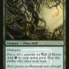 Wall of Roots