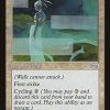 Shimmering Barrier