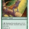 Basking Rootwalla (White Border)