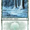 Snow-Covered Forest (White Border)
