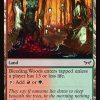 Bleeding Woods